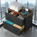 2-Drawer File Cabinet, Lateral Filing Cabinet Printer Stand_maomaolike.com