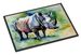 Rhinoceros Doormat Front Door Mat Indoor Outdoor Rugs For Entryway, Non Slip Washable Low Pile, 24H X 36W_maomaolike.com