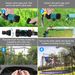 Kids Trampoline Sprinkler Outdoor Water Park Sprinkler For Kids Outdoor Water Game Toys For Backyard Boys Girls Summer Fun (39ft)_maomaolike.com