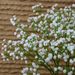 Gypsophila, Single 3-branch Gypsophila Bridal Bouquet, Wedding Supplies, Artificial Decoration, Fake Flower For_maomaolike.com