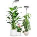 160 Large Disc Indoor Succulent Flowers Can Adjust The Height 10w Timed Plant Growth Fill Light Cross Border New Product_maomaolike.com