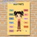 Body Parts Painting Poster, Vibrant Cartoon-style Labeled Human Body Parts Poster, Educational Visual Aid Ideal For Learning Spaces And Home Study_maomaolike.com