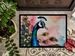 Peacock Doormat Front Door Mat Indoor Outdoor Rugs For Entryway, Non Slip Washable Low Pile, 24H X 36W_maomaolike.com