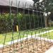 60cm DIY 120cm Plant Vine Pole, Diameter 11mm, Used For Climbing Plants Such As Tomatoes, Eggplants, Cucumbers, And Grapes_maomaolike.com