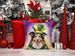 Collie King Of Mardi Gras Throw Pillow Machine Washable, Indoor Outdoor Decorative Pillow For Couch, Bed Or Patio, 18Hx18W_maomaolike.com