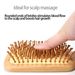 Natural Wood Large Rectangular Massage Hair Comb, Volume Boost Wooden Brush For Long Hair
_maomaolike.com