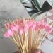 100x Love Heart Bamboo Pick Buffet Food Cupcake Fruit Tail Fork Dsert Salad Stick For Picnic Wedding Party Home_maomaolike.com