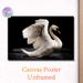 White Swan Painting Poster, Elegant Realistic White Swan Spreading Wings On Dark Water Poster, Eye-catching Contrast Design Ideal For Living Room_maomaolike.com
