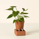 Garden Statues & Sculptures_maomaolike