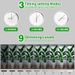 6 Inch LED Angel Ring Plant Light Full Spectrum Plant Grow Light Indoor Potted Plant Fill Light & Factory_maomaolike.com