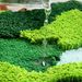 Flocked Moss Carpet Moss Carpet For Bedroom And Living Room Absorbs Water And Is Non-slip Suitable For Bathroom, Living Room And Bedroom Moss Carpet For Bedroom_maomaolike.com
