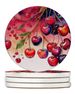 Colorful Cherries Large Sandstone Coasters Pack Of 4 Absorbent Round Coasters Decor Gifts For Men Or Women, 4 In, Multicolor_maomaolike.com