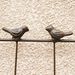 2 Pack Metal Garden Trellis 71" X 19.7" Rustproof Trellis For Climbing Plants Outdoor Flower Support Brown_maomaolike.com