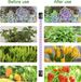 Ground Mounted Plant Growth Lamp LED Full Spectrum Succulent Green Plant Seedling Plant Lamp Fill Light Manufacturer_maomaolike.com