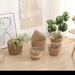 Nordic Grass Woven Pot, Living Room Floor To Ceiling Balcony, Green Plants, Internet Red Vine Woven, Hugging Flower_maomaolike.com