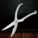 Kitchen Poultry Fish Chicken Bone Stainless Steel Cutter_maomaolike.com