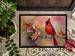 Cardinal Doormat Front Door Mat Indoor Outdoor Rugs For Entryway, Non Slip Washable Low Pile, 24H X 36W_maomaolike.com