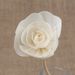 In Stock Accessories Aromatherapy Dried Vine Tongcao Artificial Flower Manufacturer Wholesale_maomaolike.com