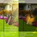 Solar Watering Can With Lights,Solar Outdoor Garden Decor Waterproof Large Hanging Lantern Landscape Lights Outside Decorations For Yard Clearance Porch Patio Pathway Gardening Gift_maomaolike.com