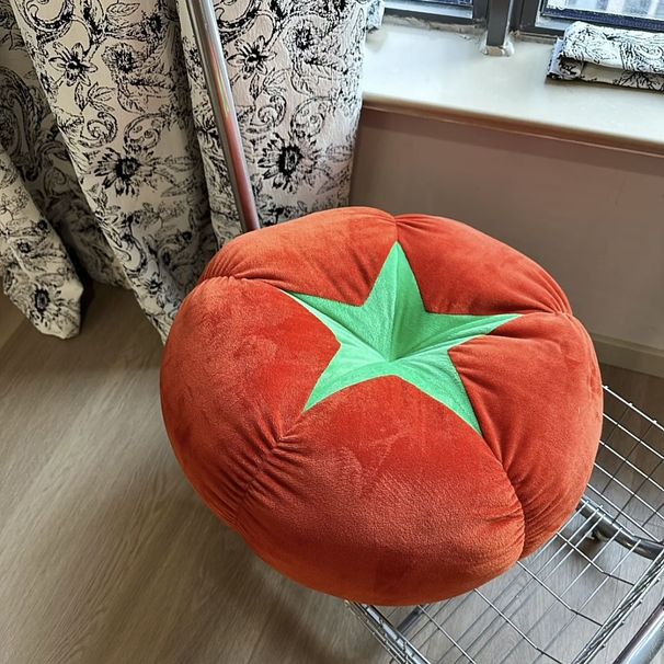 ins Soft Cute Mushroom Tomato Futon Bed Cushion Doll Throw Lazy Living Room Sofa Pillow_maomaolike.com