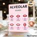 Alveolar Sounds Educational Painting Poster, Clear Illustrated Phonetics Poster, Visual Reference For English Pronunciation Learning, Suitable For_maomaolike.com