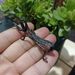Vintage Pure Mantis Pet Tea Play Chinese Style Brass Insect Small Desktop Miniature Copper Ornament_maomaolike.com