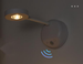 Cross-Border New Charging No Wiring Indoor Wall Spotlight Smart LED Human Body Sensor Remote Control Picture Light_maomaolike.com