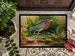 Green Heron Doormat Front Door Mat Indoor Outdoor Rugs For Entryway, Non Slip Washable Low Pile, 24H X 36W_maomaolike.com