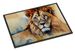 Lion Doormat Front Door Mat Indoor Outdoor Rugs For Entryway, Non Slip Washable Low Pile, 24H X 36W_maomaolike.com