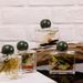 Long Lasting Fragrance Reed Diffuser Home Aromatherapy Gift Set With Natural Essential Oils For Indoor Use_maomaolike.com