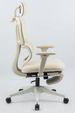 Ergonomic Office Chair With Footrest, High Back Computer Office Chair With Dynamic Lumbar Support, 2D Headrest, 2D Armrest, Sponge Seat, Mesh Home Office Desk Chair For Adults, CREAM_maomaolike.com