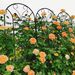 4 Pack Metal Garden Trellis 86.7" X 19.7" Rustproof Trellis For Climbing Plants Outdoor Flower Support Peacock Style Black_maomaolike.com