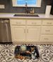 Australian Terrier Fall Kitchen Pumpkins Memory Foam Kitchen Mat Machine Washable Anti-Fatigue Mat Cushion Comfort Bath Mat Or Kitchen Rug_maomaolike.com