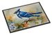 Blue Jay Doormat Front Door Mat Indoor Outdoor Rugs For Entryway, Non Slip Washable Low Pile, 24H X 36W_maomaolike.com