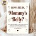 Baby Shower Game Painting Poster, Warm-toned Text & Footprint Design Poster, Interactive Belly-guessing Game Ideal For Baby Shower Gatherings_maomaolike.com