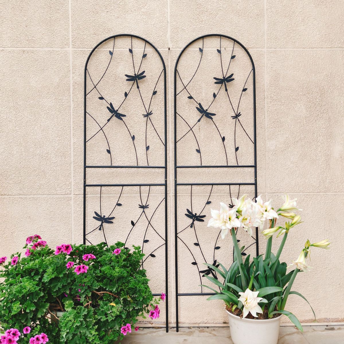 2 Pack Metal Garden Trellis 71" X 19.7" Rustproof Trellis For Climbing Plants Outdoor Flower Support Dragonfly Deco Black_maomaolike.com