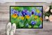 Illinois Violet In Watercolor Doormat Front Door Mat Indoor Outdoor Rugs For Entryway, Non Slip Washable Low Pile, 24H X 36W_maomaolike.com