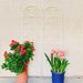 4 Pack Metal Garden Trellis 71" X 19.7" Rustproof Trellis For Climbing Plants Outdoor Flower Support Cream White_maomaolike.com