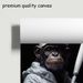 Trendy Street-style Chimpanzee Triptych Featuring A Baseball Bat, A Basketball And A Rugby Ball, Blending American Retro And Hip-hop Culture_maomaolike.com