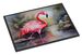Flamingo Doormat Front Door Mat Indoor Outdoor Rugs For Entryway, Non Slip Washable Low Pile, 24H X 36W_maomaolike.com