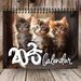 2025 Funny Cat Kitten Calendar, Funny Cat Kitten Selfies Calendar, Square Hanging Wall Calendar_maomaolike.com
