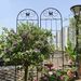 4 Pack Metal Garden Trellis 86.7" X 19.7" Rustproof Trellis For Climbing Plants Outdoor Flower Support Black_maomaolike.com