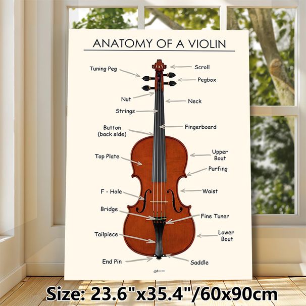 Violin Anatomy Painting Poster, Clear Labeled Educational Illustration Poster, Informative Guide To Violin Components, Ideal For Music Classrooms And_maomaolike.com