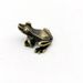 Landscape Copper Alloy Mini Micro Carving Animal Fish Tank Rockery Bonsai Landscaping Small Frog Ornament Craft_maomaolike.com