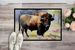 American Bison Doormat Front Door Mat Indoor Outdoor Rugs For Entryway, Non Slip Washable Low Pile, 24H X 36W_maomaolike.com
