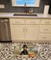 Airedale Terrier Fall Kitchen Pumpkins Memory Foam Kitchen Mat Machine Washable Anti-Fatigue Mat Cushion Comfort Bath Mat Or Kitchen Rug_maomaolike.com
