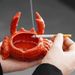 Crab Ceramic Ashtray With Lid - Fly Repellent, Home Office Decorative Tea Pet, Unique Irregular Shape_maomaolike.com