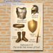 Armor Of God Themed Painting Poster, Warm-toned Detailed Biblical Armor Elements Poster, Inspirational Religious Verse Decor For Home, Church & Study_maomaolike.com