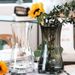 Light Luxury Minimalist Glass Vase, Ins-Style High-End Feel, Water-Cultivated Lily Flowers, Nordic Living Room Flower_maomaolike.com