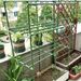 120 * 120 * 60cm Square Plant Climbing Frame, Climbing Pole, Cage Shaped Support Frame, Outdoor Garden Pavilion Shaped Rattan Frame_maomaolike.com